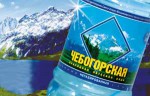 Вода питьевая, Чебогорская 0.6 л негазированная